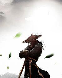 朱门辞：瑾王爷的仵作妃